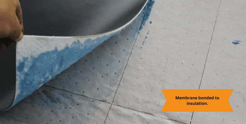 Membrane bonded to insulation