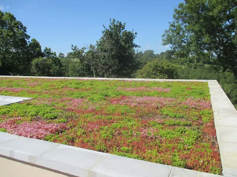 Green Roofs
