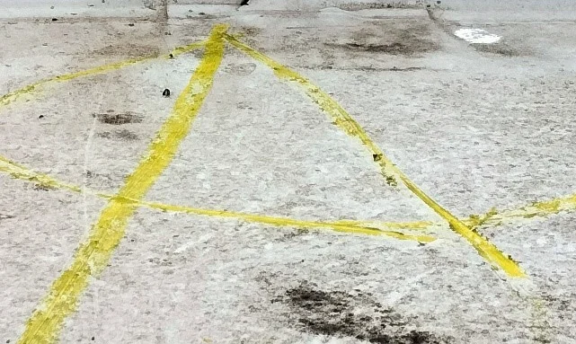 Flat Roof Leak Detection